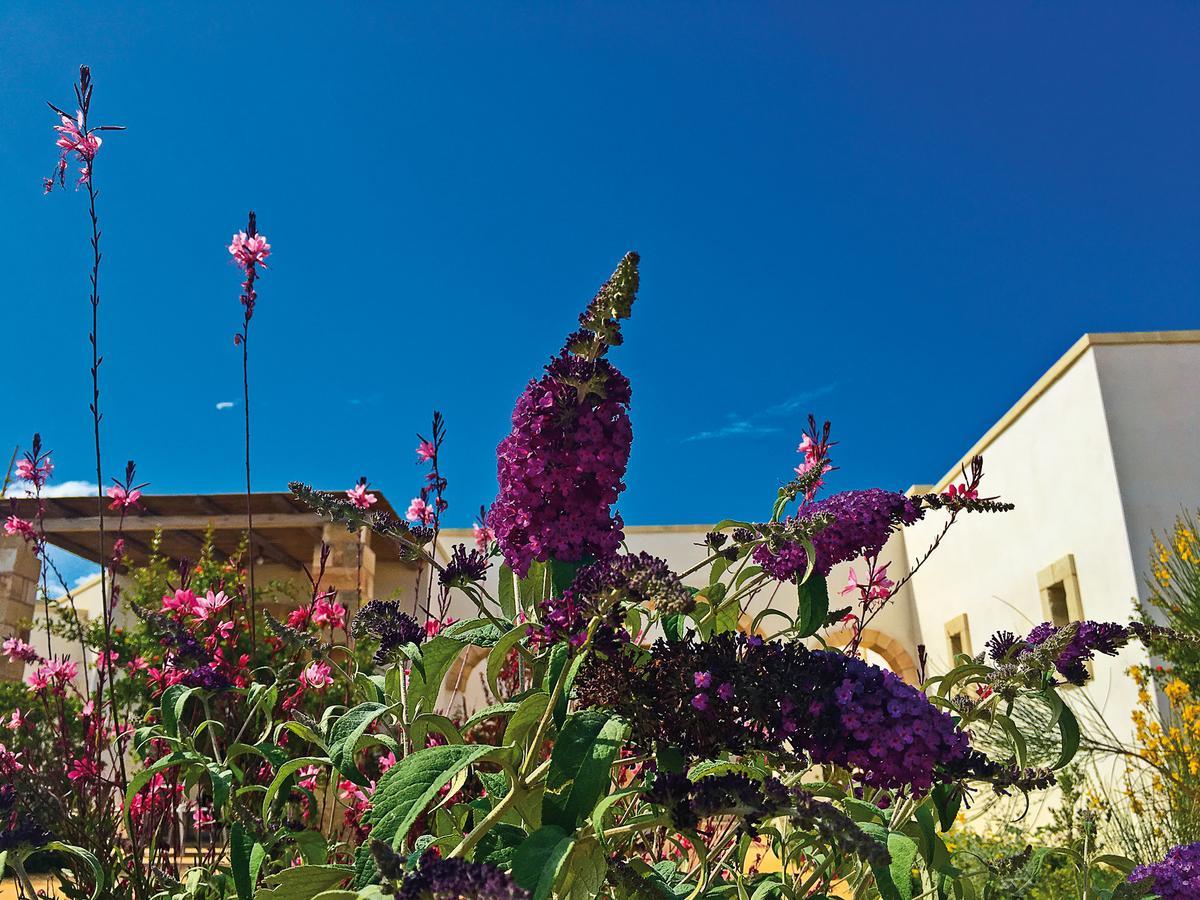 Agriturismo Vigna Corallo Otranto Eksteriør bilde